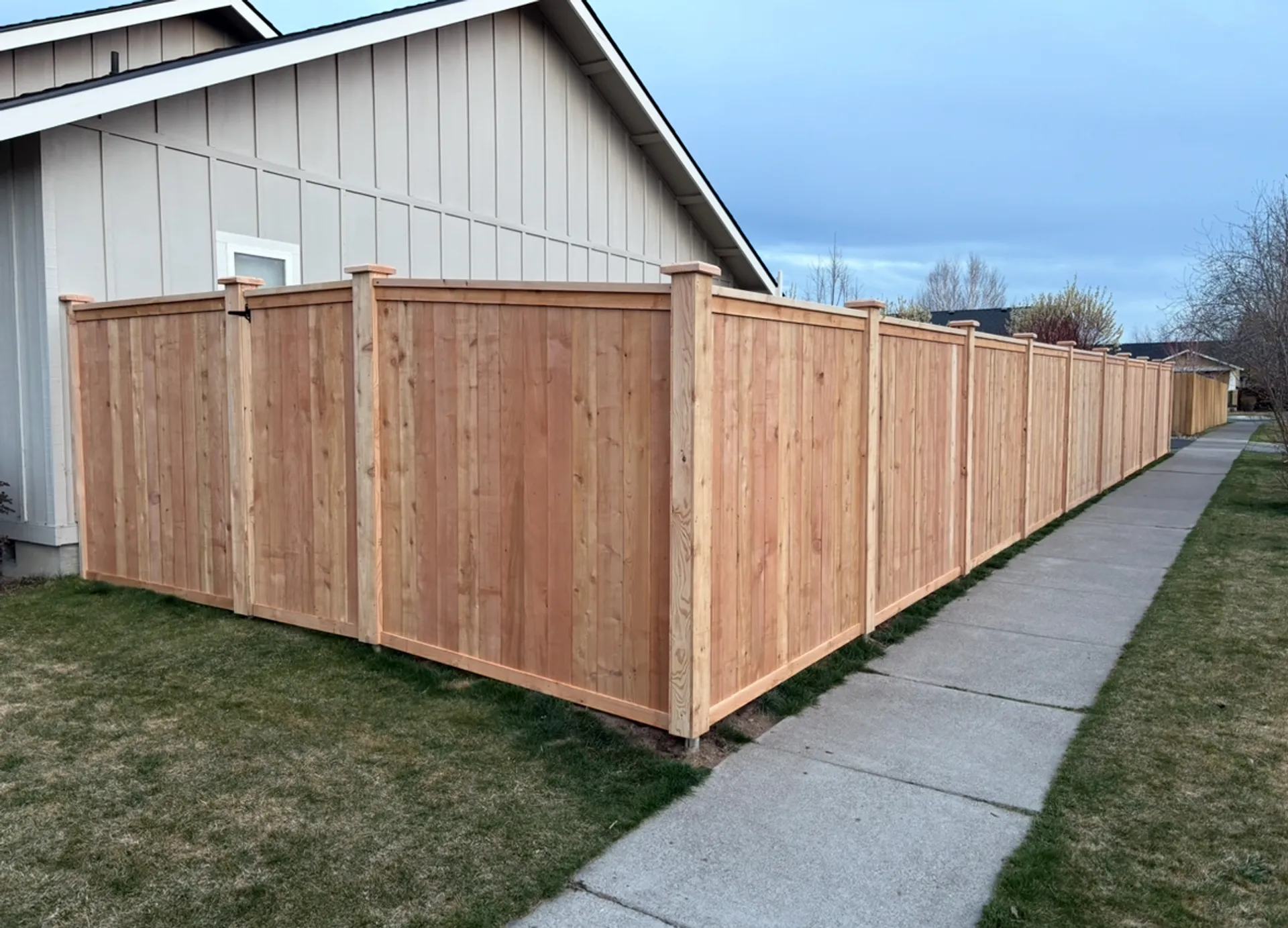 Image of IMG_7006.jpeg